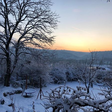 Ueber Den Daechern Von Koblenz - Aussichts-Wohnung Naturpark Rheinblick, Ruhig, Zentrumsnah, Sport-Pool מראה חיצוני תמונה
