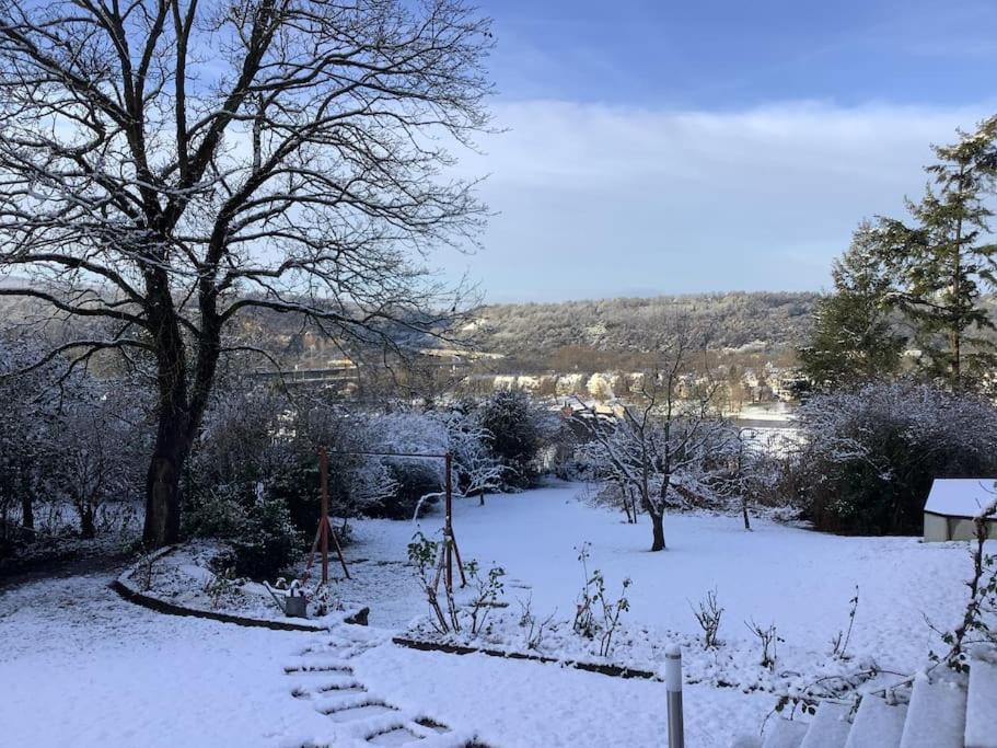 Ueber Den Daechern Von Koblenz - Aussichts-Wohnung Naturpark Rheinblick, Ruhig, Zentrumsnah, Sport-Pool מראה חיצוני תמונה