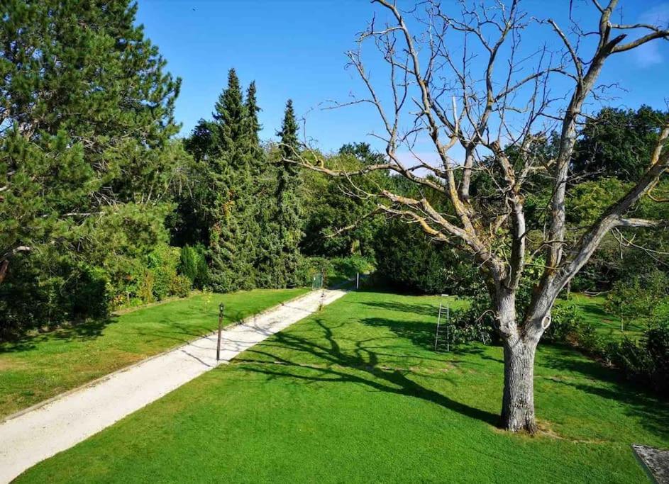 Ueber Den Daechern Von Koblenz - Aussichts-Wohnung Naturpark Rheinblick, Ruhig, Zentrumsnah, Sport-Pool מראה חיצוני תמונה
