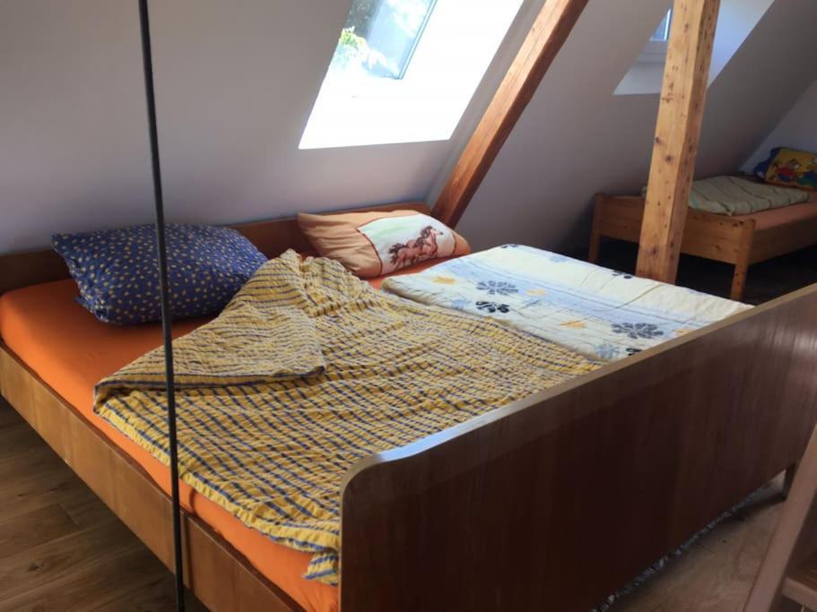 Ueber Den Daechern Von Koblenz - Aussichts-Wohnung Naturpark Rheinblick, Ruhig, Zentrumsnah, Sport-Pool מראה חיצוני תמונה