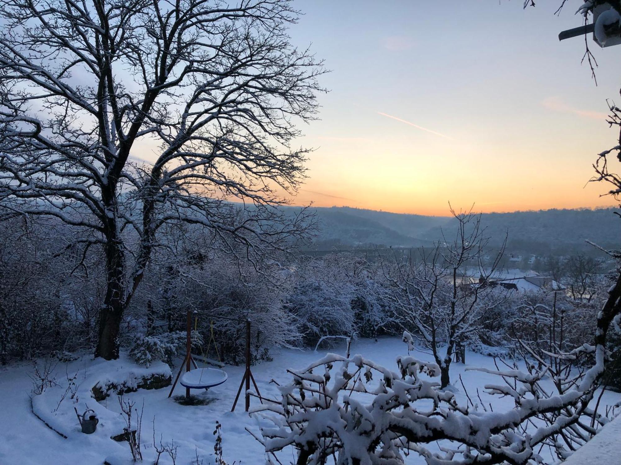 Ueber Den Daechern Von Koblenz - Aussichts-Wohnung Naturpark Rheinblick, Ruhig, Zentrumsnah, Sport-Pool מראה חיצוני תמונה